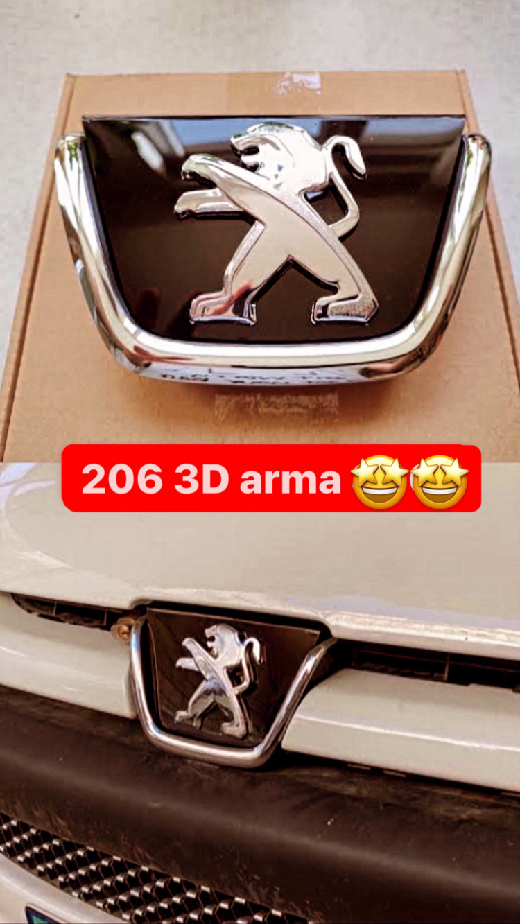 206 3D arma