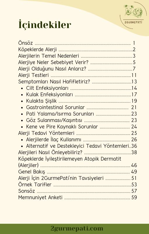 Köpeklerde Alerji Sebepleri ve Önlemler