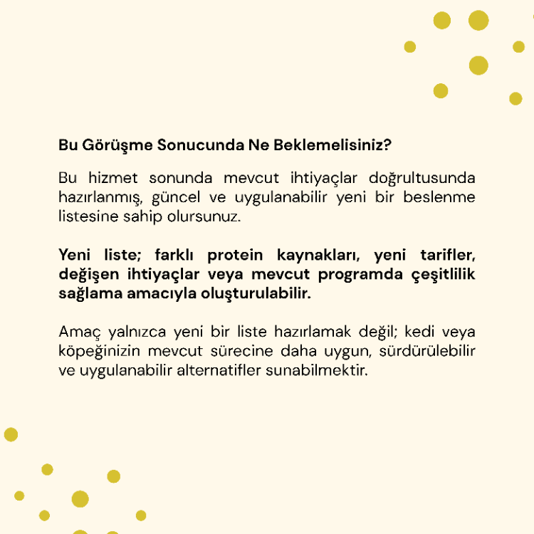 Yeni Beslenme Listesi