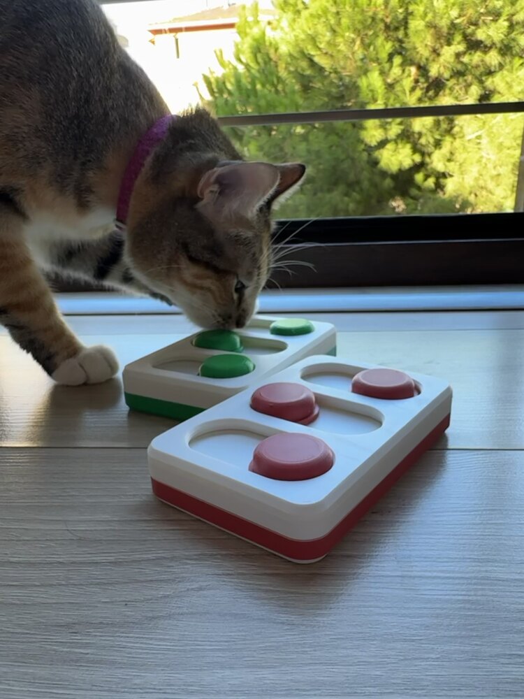 Kedi Puzzle (Kırmızı)