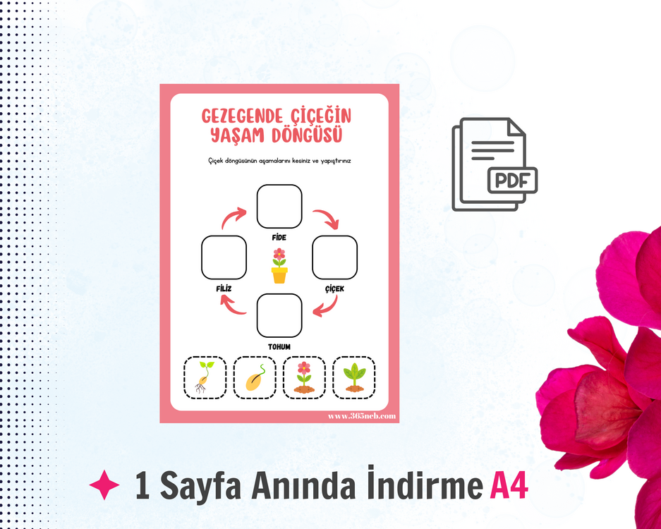 Çiçeğin Yaşam Döngüsü | Okul Öncesi Yazdırılabilir Etkinlik | Kes Yapıştır