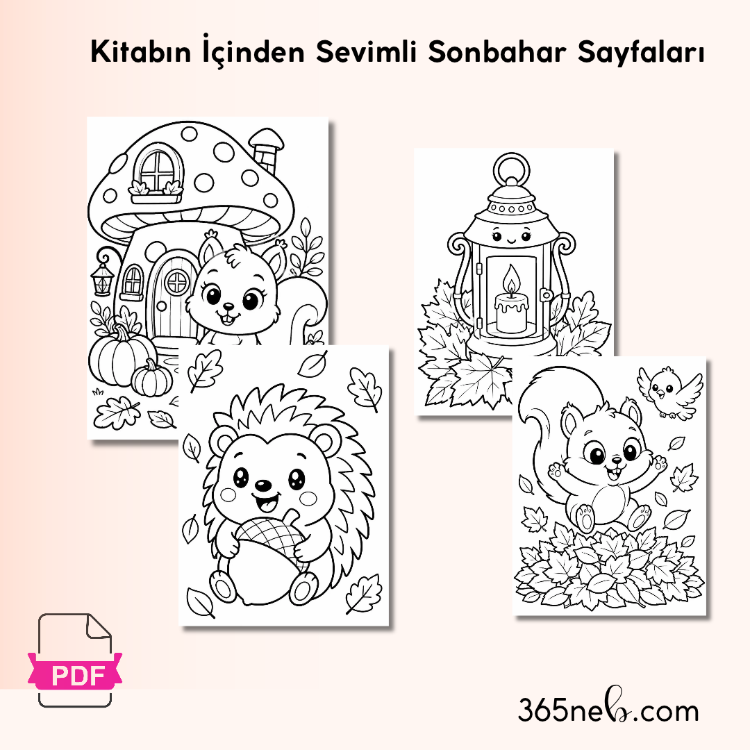 Sincap Puki ile Sonbahar Boyama Macerası | 4+Yaş | 20+ Sayfa PDF