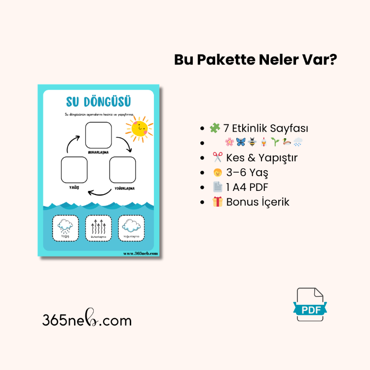 Yaşam Döngüsü Etkinlik Seti (7 Tema) | Okul Öncesi Yazdırılabilir PDF | Kes-Yapıştır