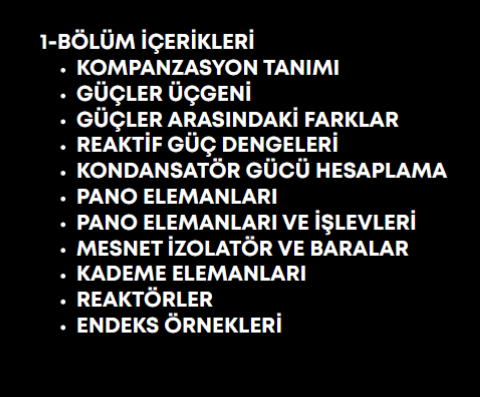 Enerjinin Yol Haritası Kompanzasyon 1 - E-Kitap