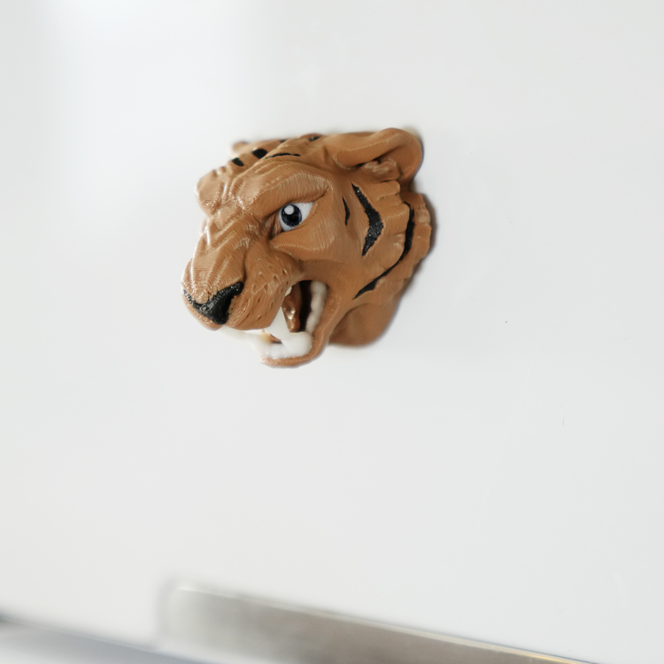 Kaplan Magnet