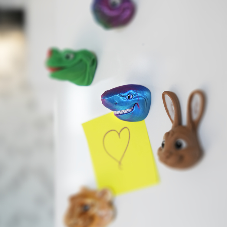 Köpekbalığı Magnet