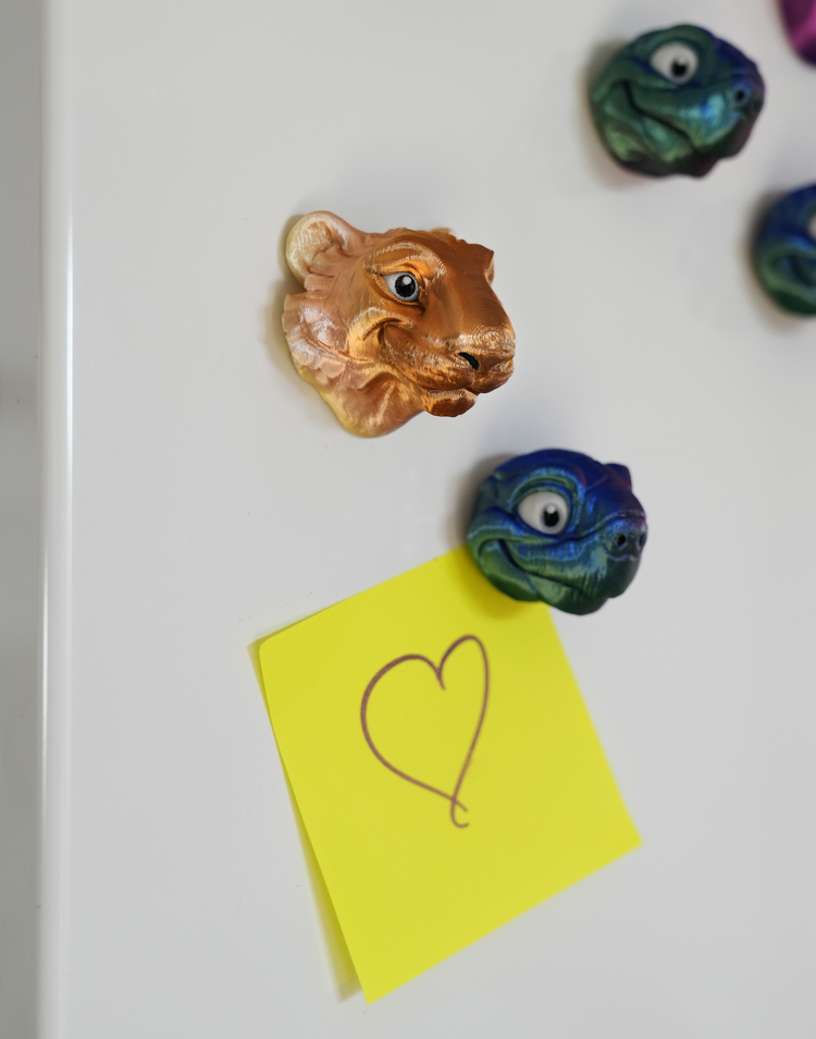 Aslan Magnet