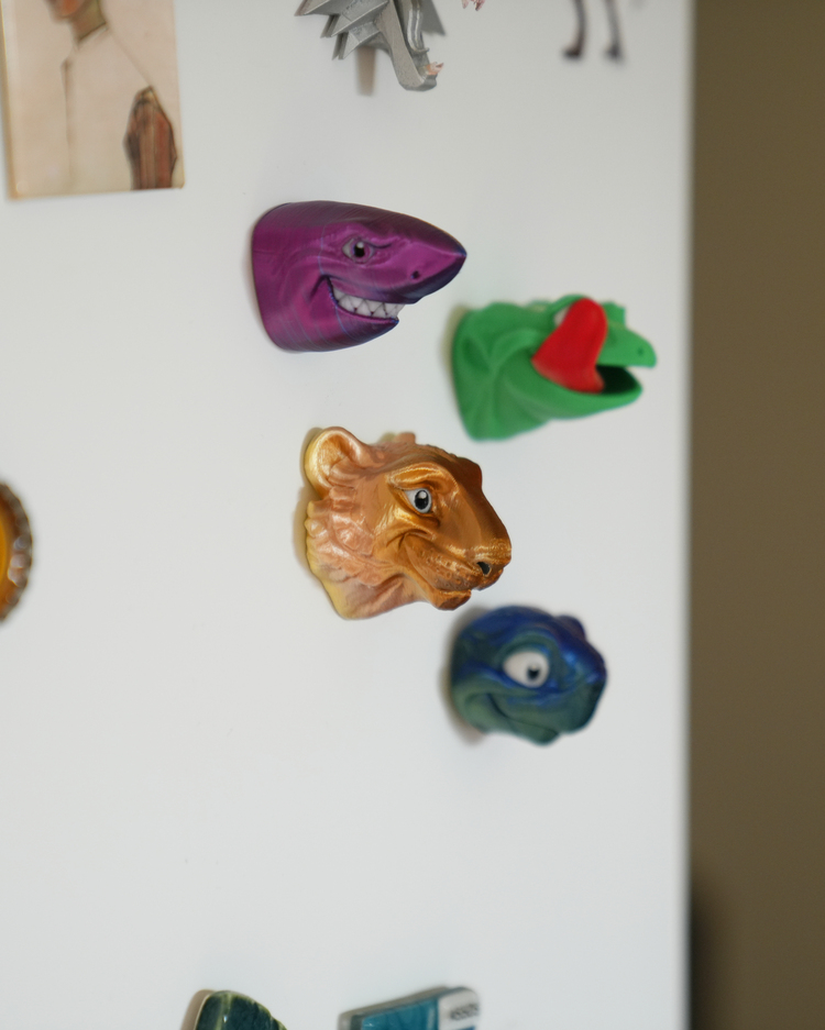 Aslan Magnet