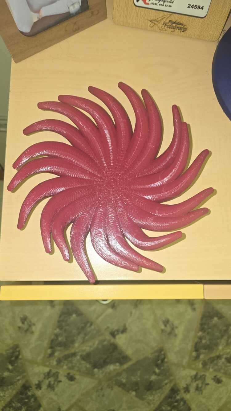 Spiral Şölen (Meyvelik)