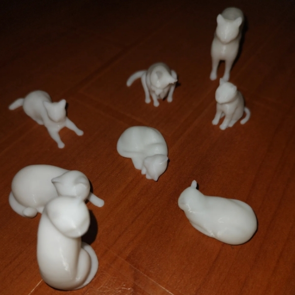 8 Adet Mini Kedi