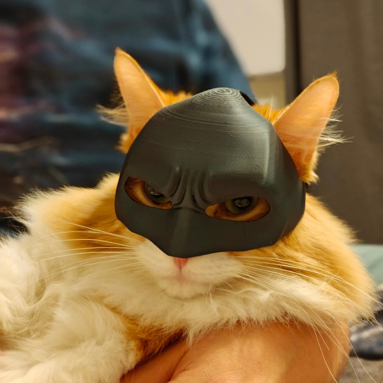 BATCAT