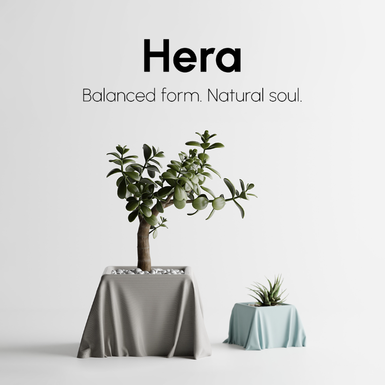Hera Saksı