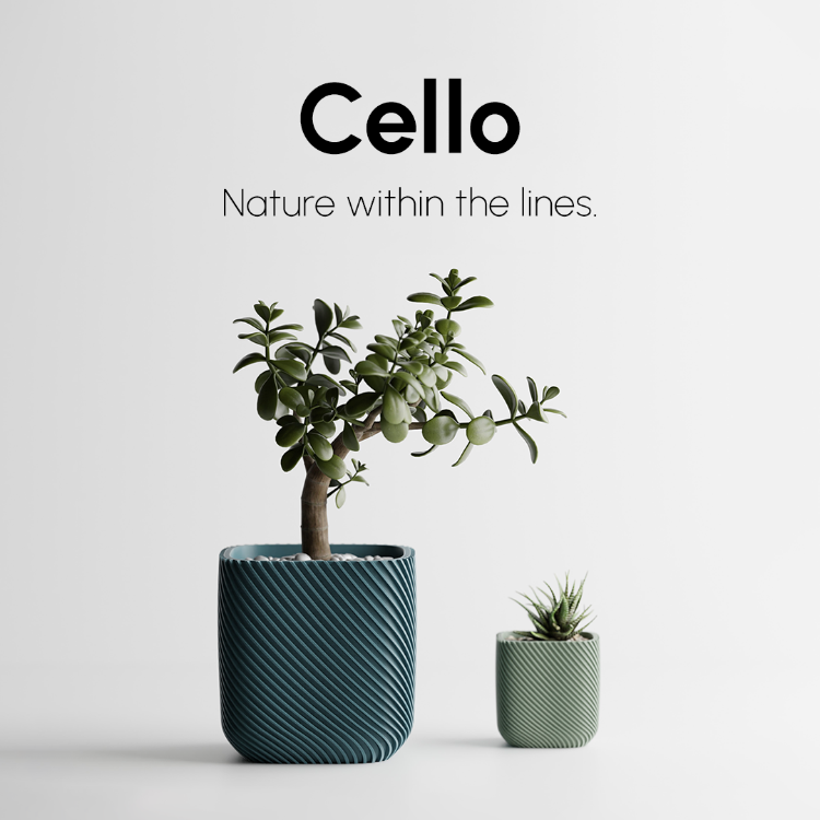 Cello Saksı