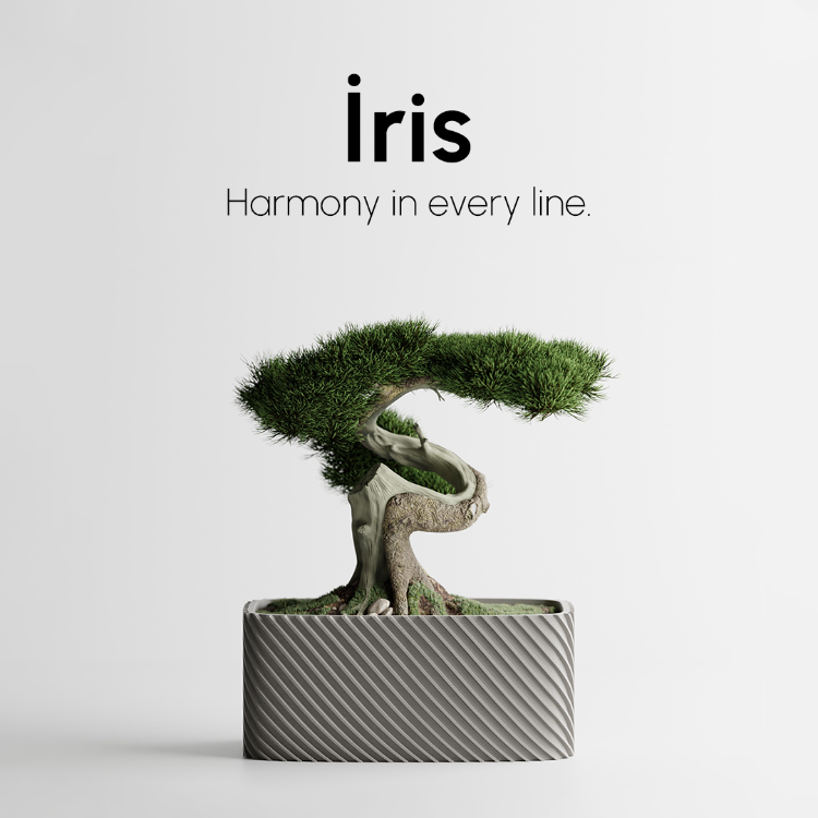 İris Saksı