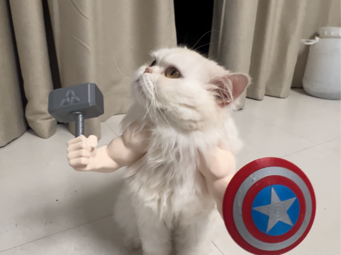 Kedi Aksesuar Kolları – Süper Kahraman Temalı 3D Baskı