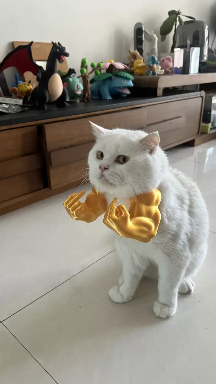 Kedi Aksesuar Kolları – Süper Kahraman Temalı 3D Baskı