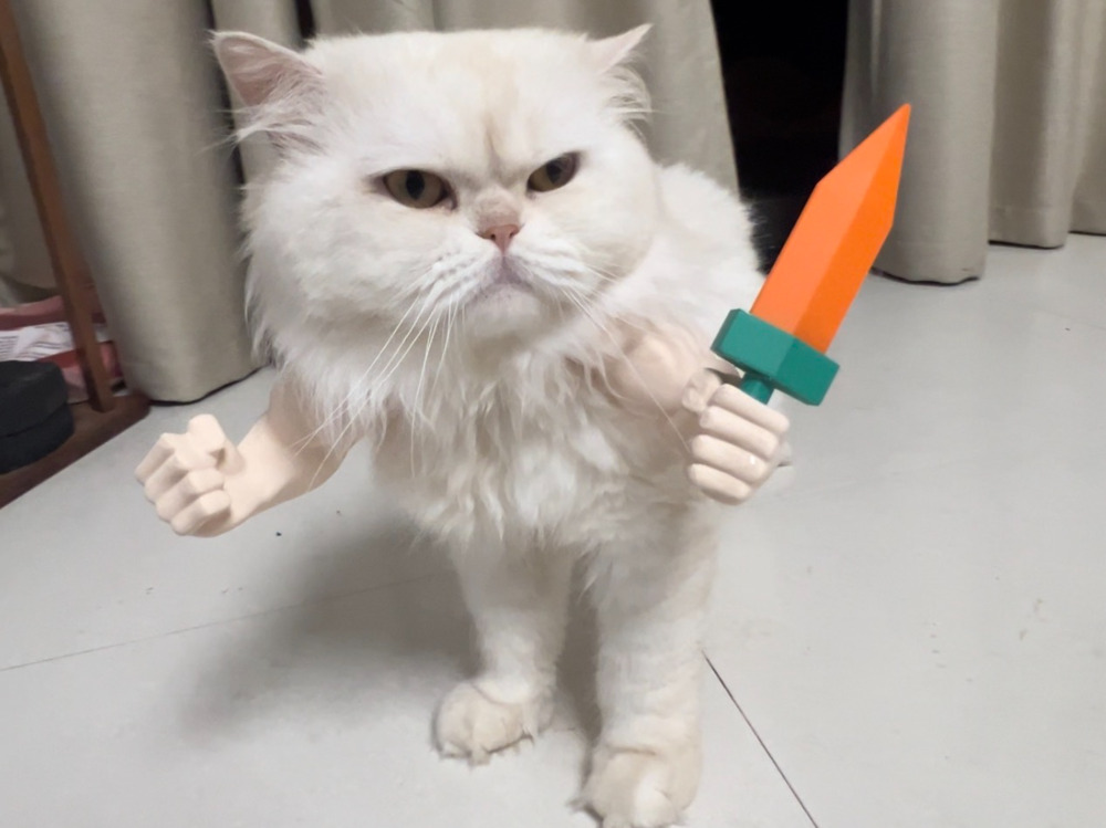 Kedi Aksesuar Kolları – Süper Kahraman Temalı 3D Baskı
