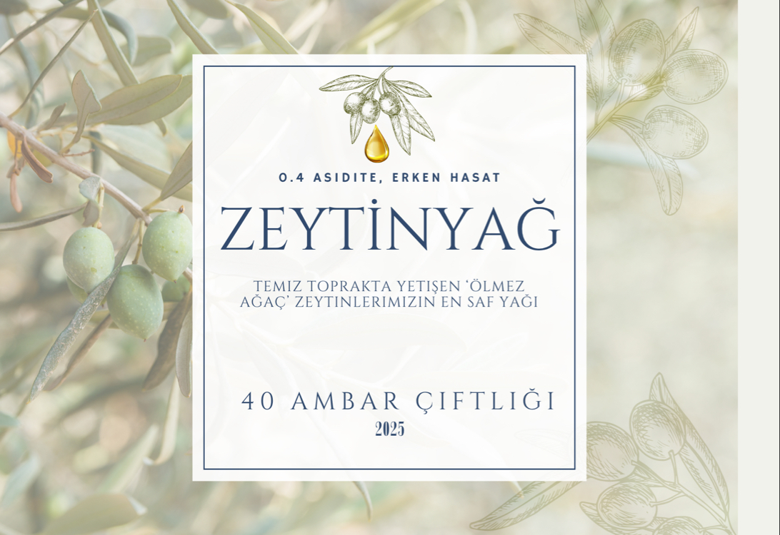 Zeytinyağ 2025 yeni hasat