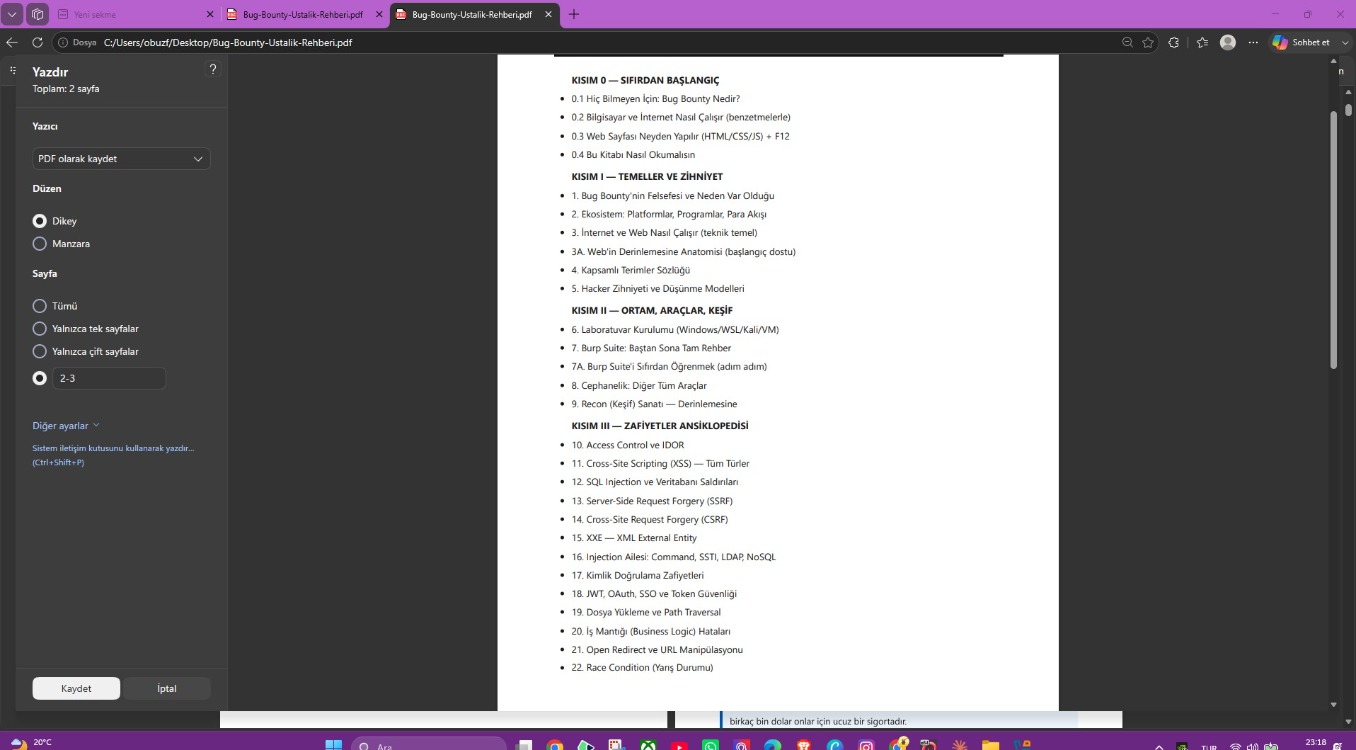 Bug Bounty Ustalık Rehberi — Sıfırdan Gelire