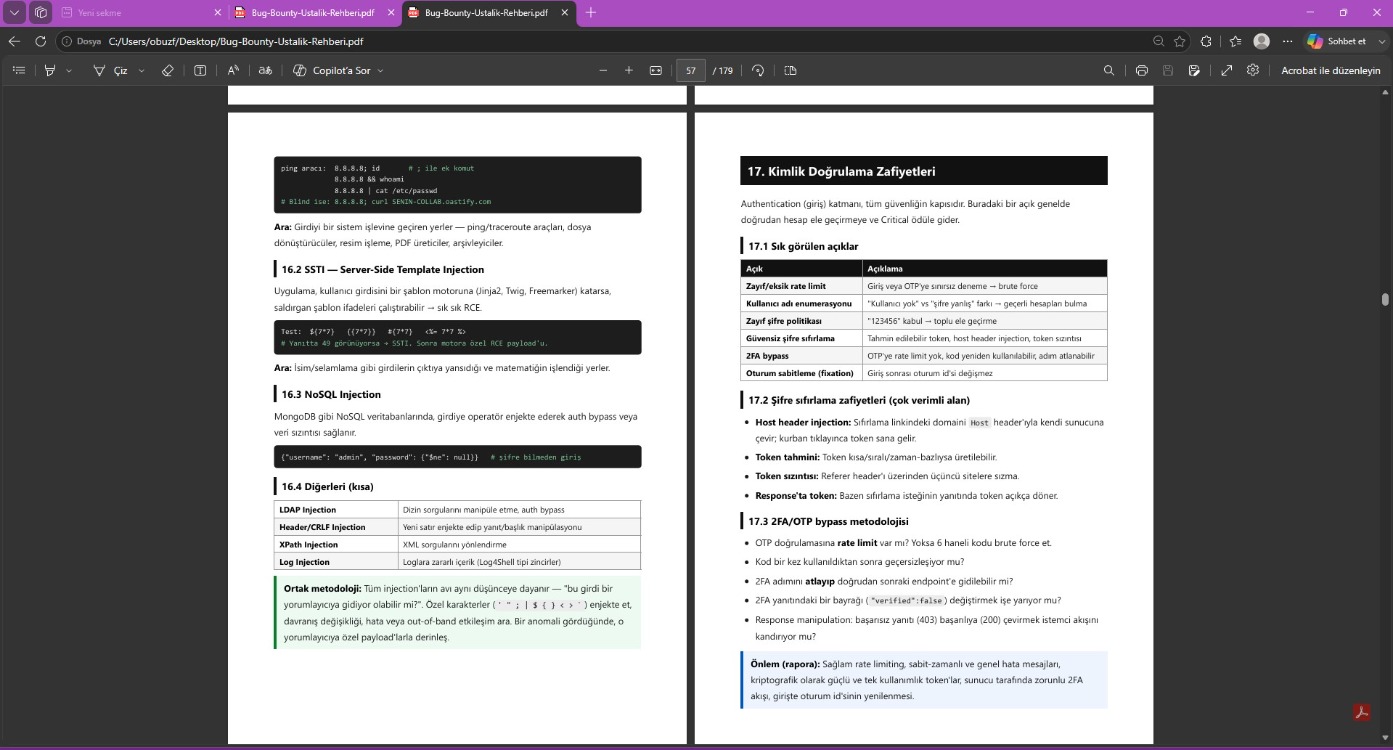 Bug Bounty Ustalık Rehberi — Sıfırdan Gelire