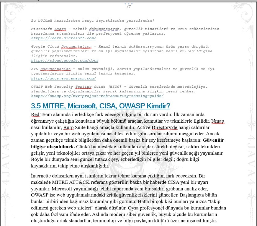 Red Team Gibi Düşünmek | Yeni Nesil Mentör Rehberi