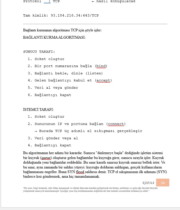 Kırılgan Sistemler -Siber Güvenliğin Mühendislik Felsefesi