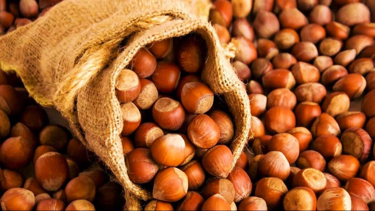 Trabzon Kabuklu Fındık - Yeni Mahsul Doğal Lezzet (1 Kg)