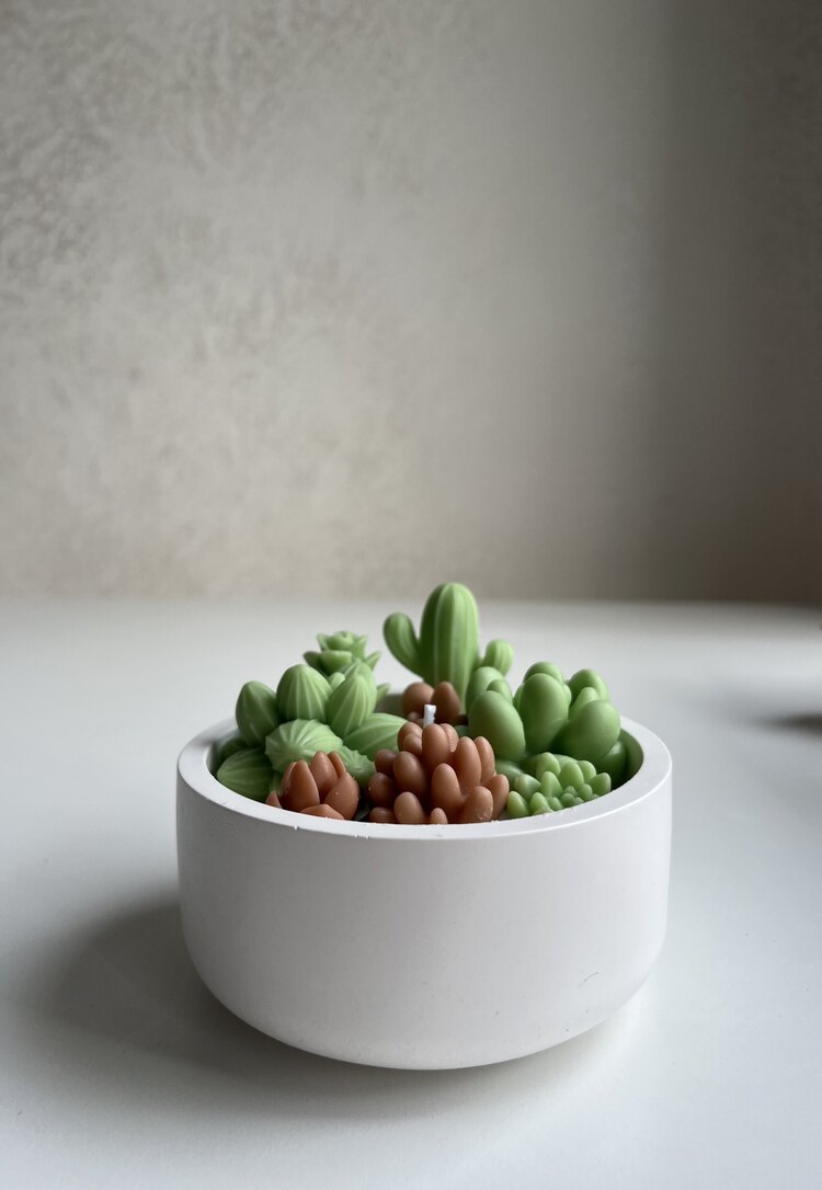 Small terrarium