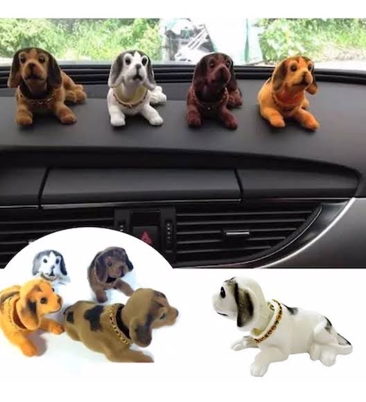 Kafa sallayan köpek