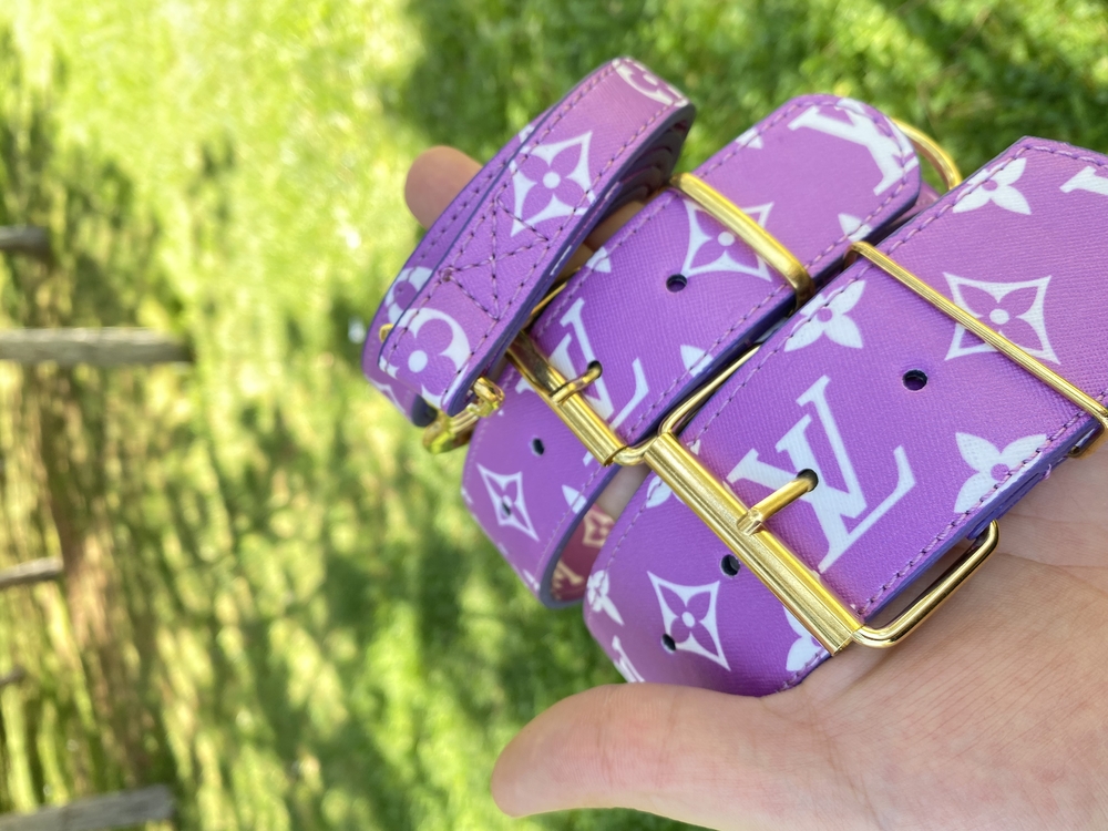 Purple Louis Vuitton Dog Collar-Leash Set. Desinger Dog Collar Set.