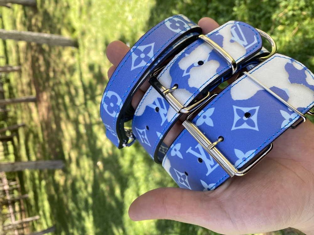 Blue Cloud Louis Vuitton Dog Collar-Leash Set. Desinger Dog Collar Set.