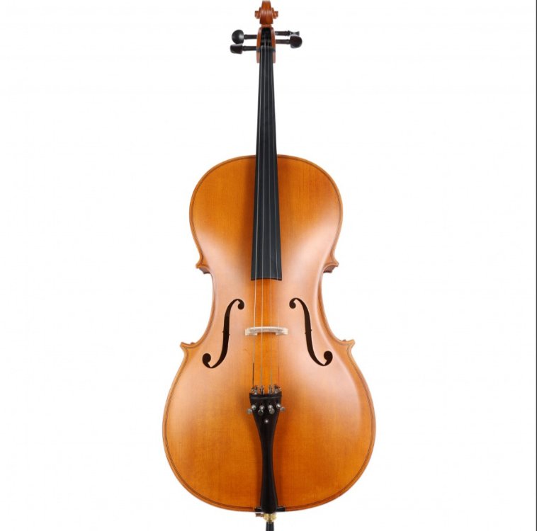 Carlovy CLA9 4/4 Çello