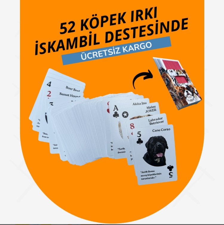 52 Köpek Irkı İskambil Destesi