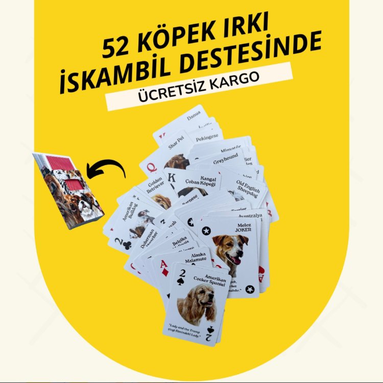 52 Köpek Irkı İskambil Destesi