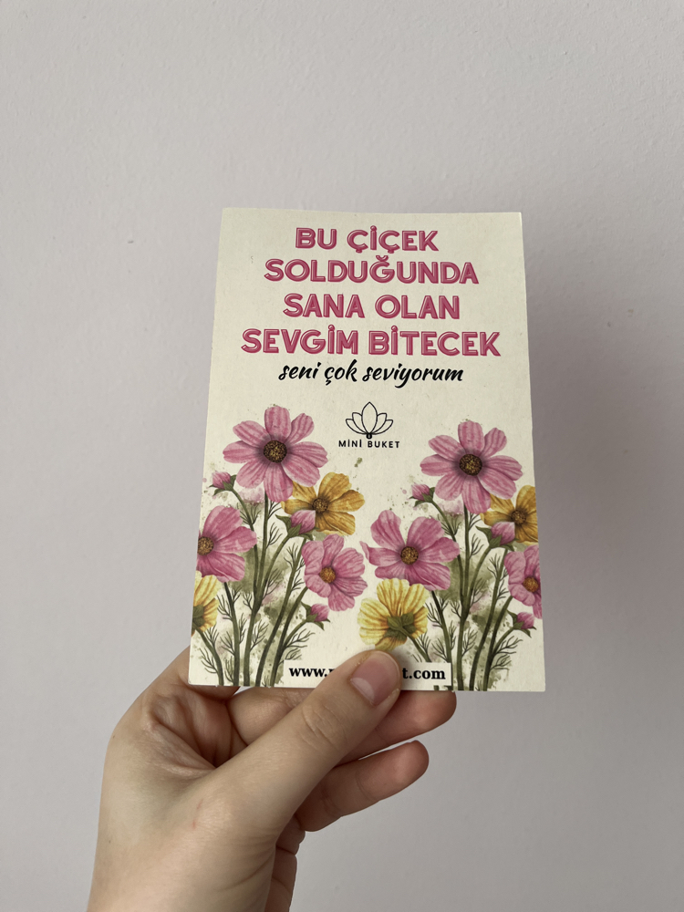 Sevgi çiçeği