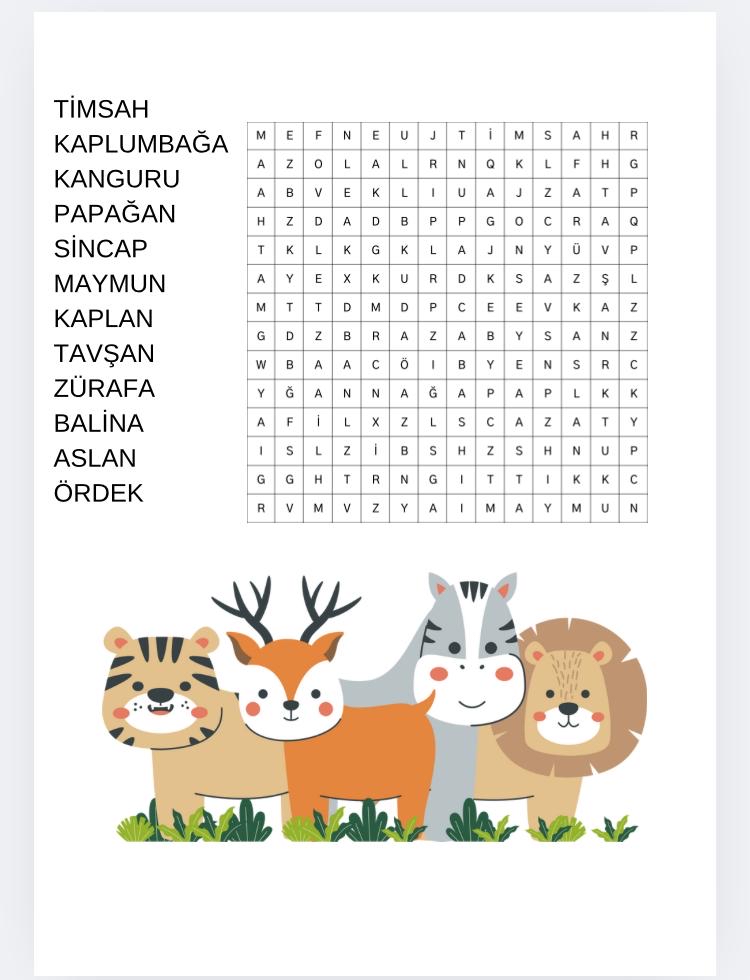 KİŞİYE ÖZEL ETKİNLİK SAYFALARI (CANVA TASARIM)
