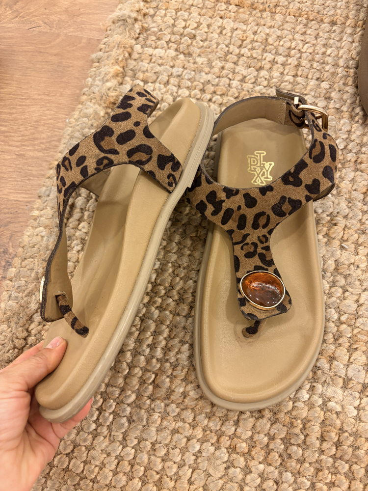 37 no leopar