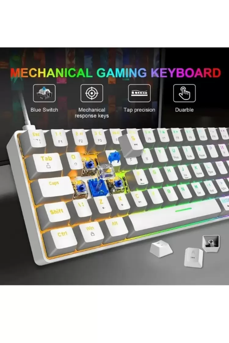 T60 Mekanik Klavye BEYAZ Kablolu Gaming Oyuncu Klavyesi (Blue Switch)