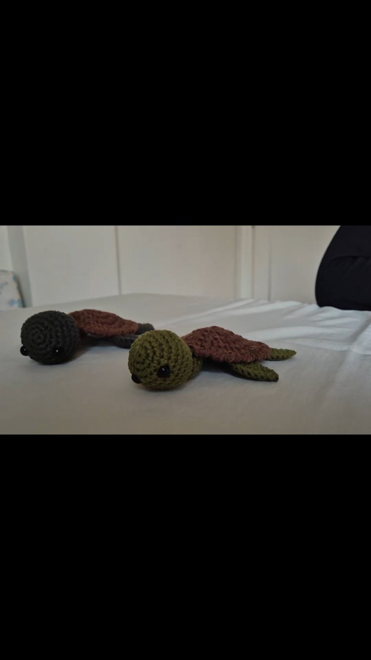 Tosbağa bardak altlığı