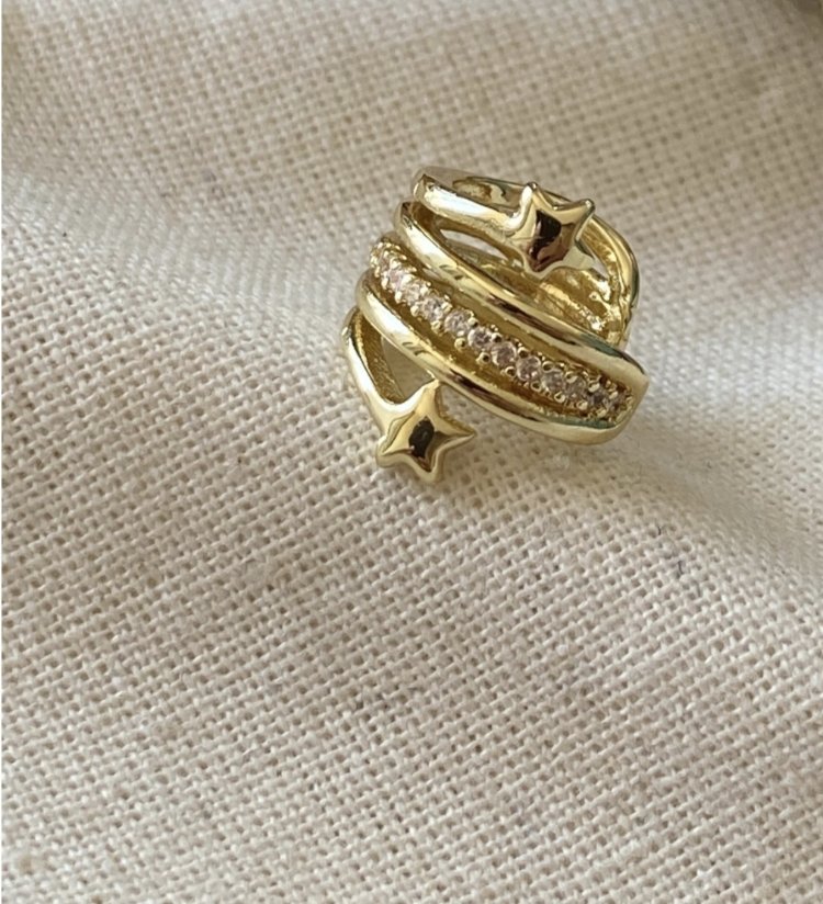 Xuping VIP 14K Kikirdak Küpe 