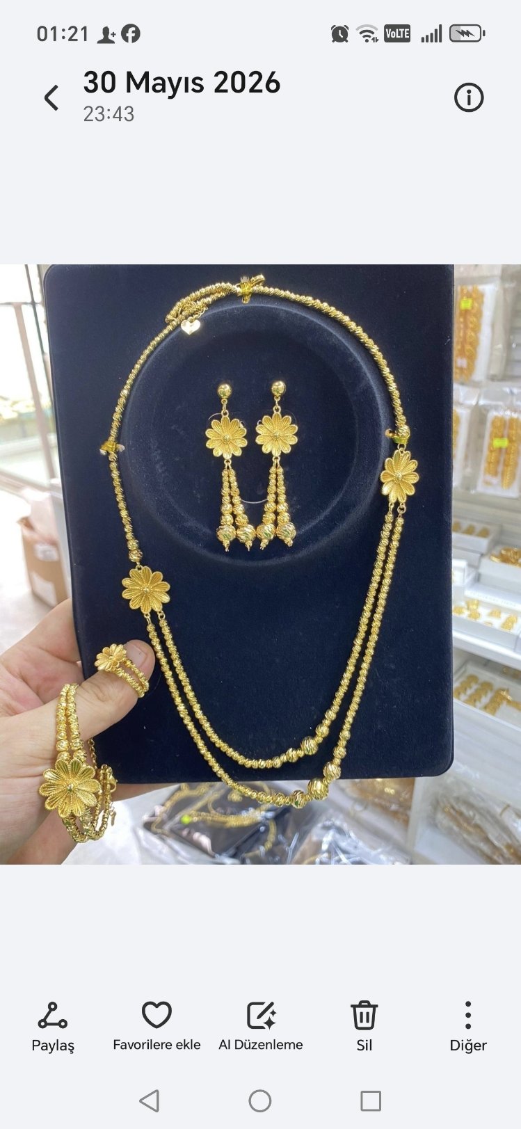 Altin Kaplama Gül Bahçesi Takımi
