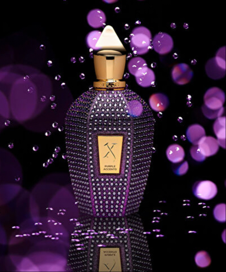 XERJOFF V Purple Accento