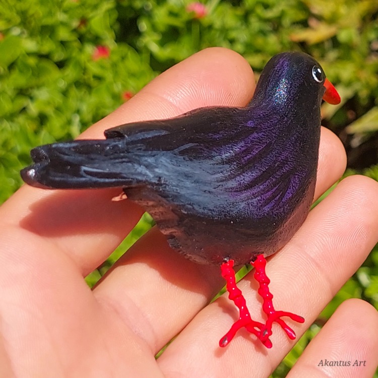 Kırmızı Gagalı Dağ Kargası TOKA (Pyrrhocorax graculus)