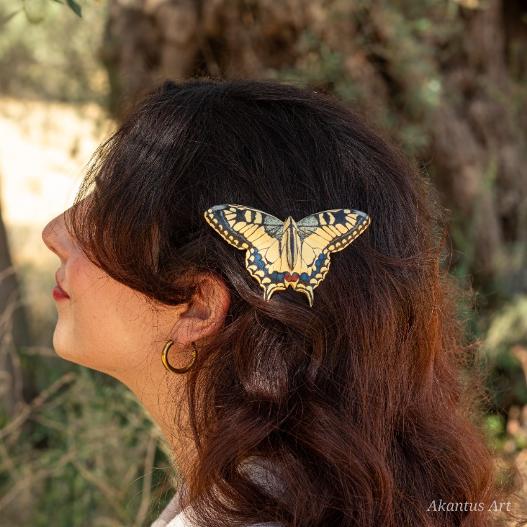 Kırlangıçkuyruk Kelebeği TOKA (Papilio machaon)