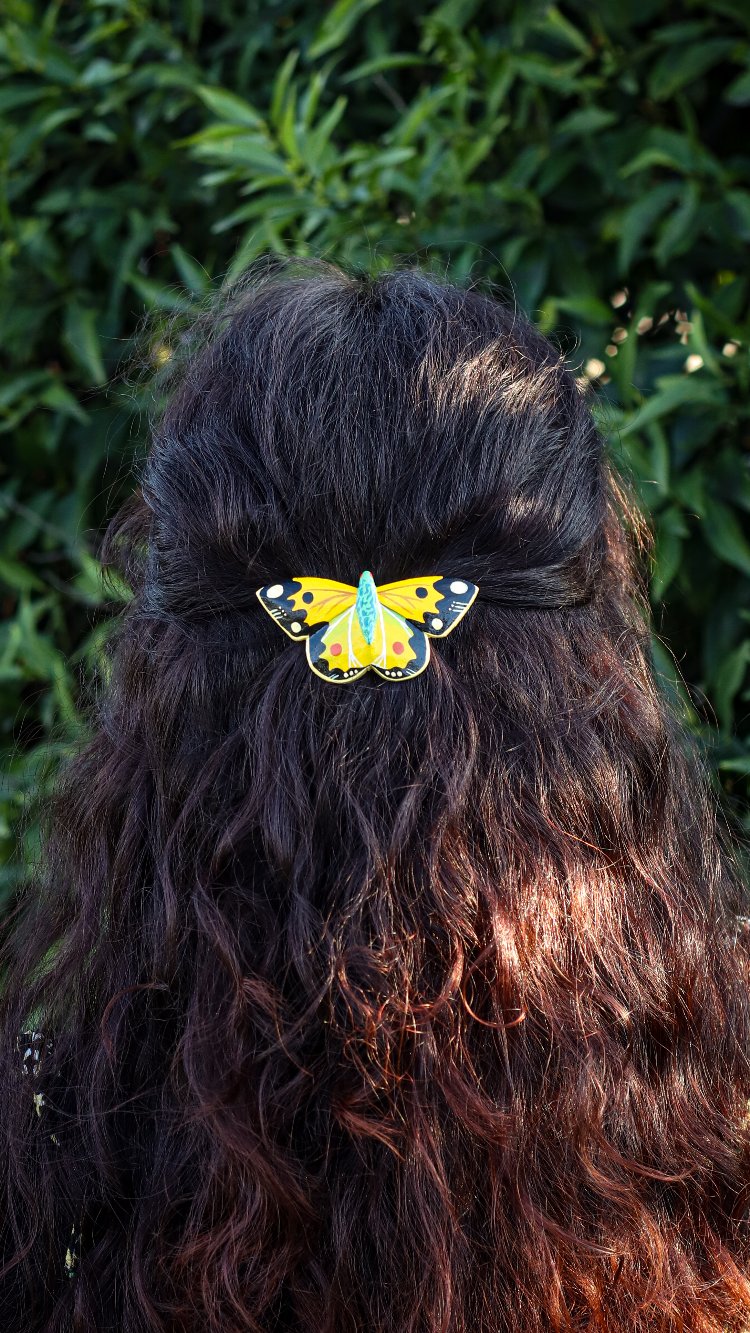 Sarı Azamet Kelebeği TOKA BÜYÜK (Colias croceus)