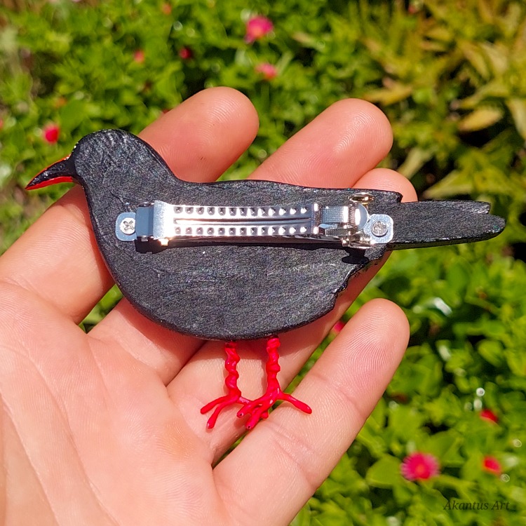 Kırmızı Gagalı Dağ Kargası TOKA (Pyrrhocorax graculus)