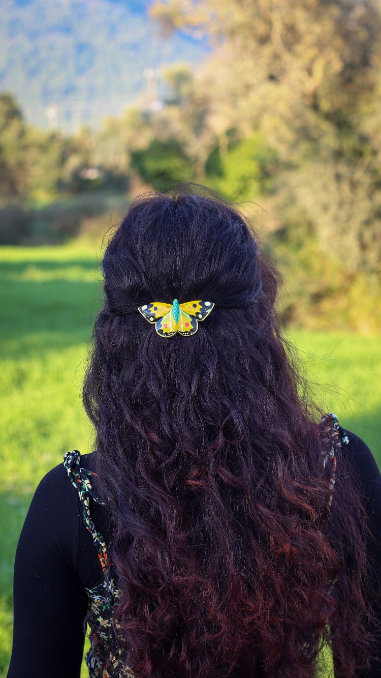 Sarı Azamet Kelebeği TOKA BÜYÜK (Colias croceus)