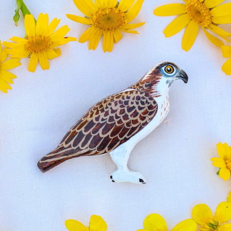 Balık Kartalı BROŞ (Pandion haliaetus)