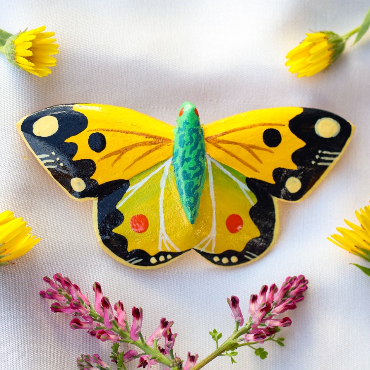 Sarı Azamet Kelebeği TOKA BÜYÜK (Colias croceus)