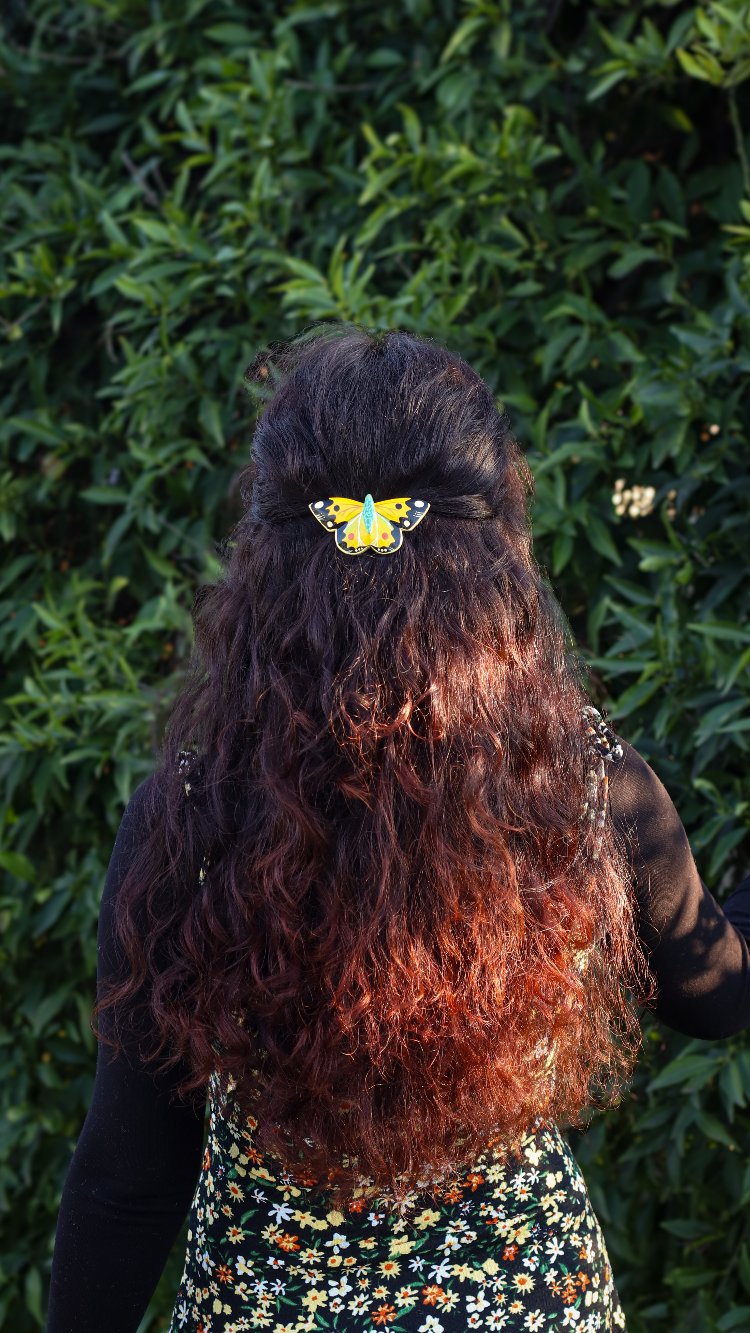 Sarı Azamet Kelebeği TOKA BÜYÜK (Colias croceus)